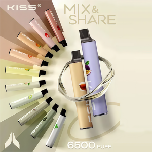 Kiss 鎧斯 6500 Puffs 拋棄式電子菸 - 霧森坊