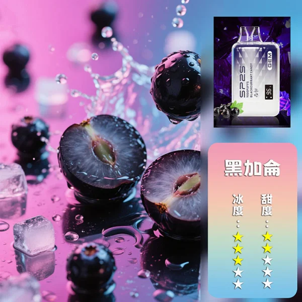 sp2s 9000口拋棄式電子煙 霧森坊